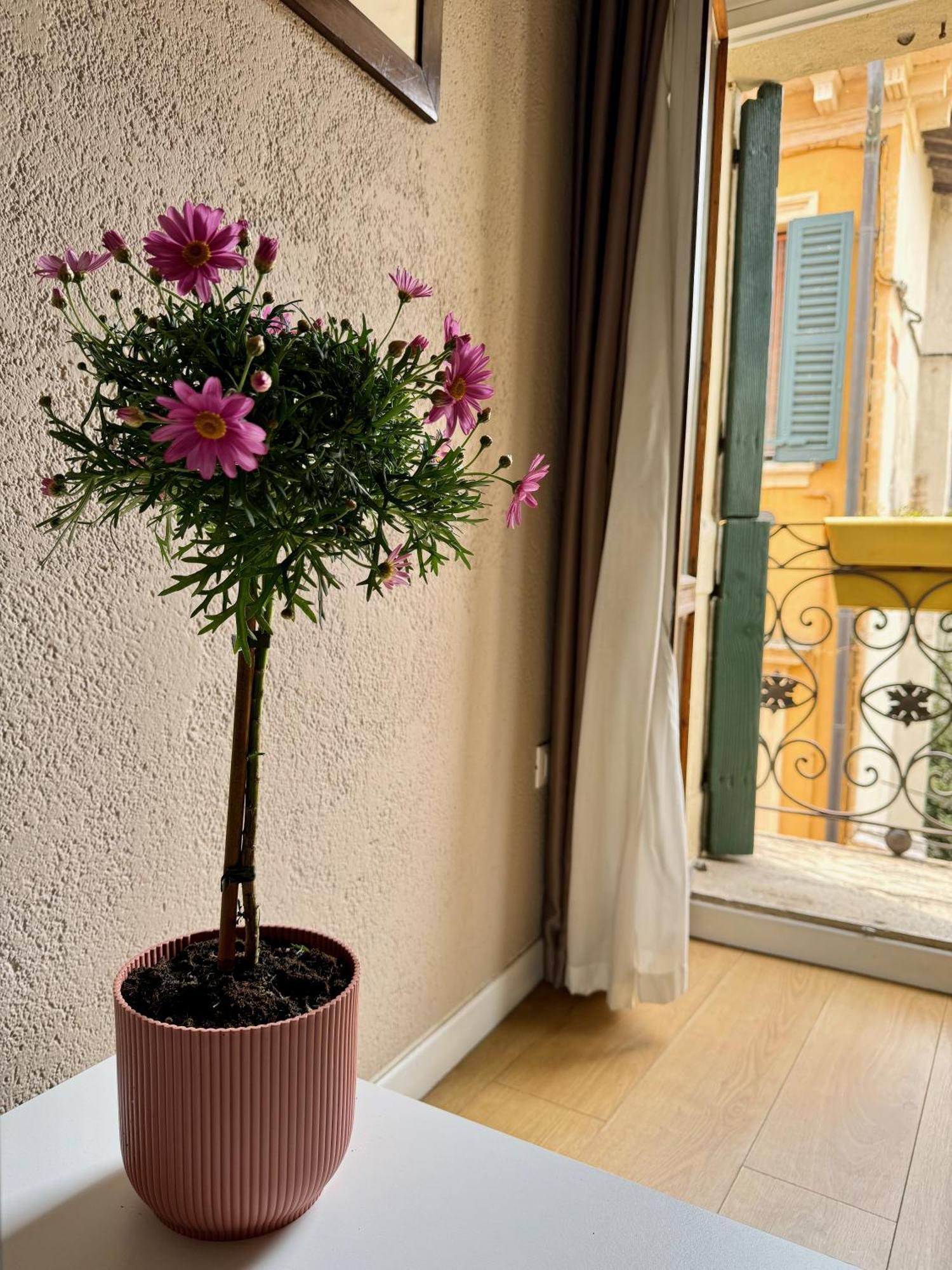 Domus Suites Verona Luaran gambar