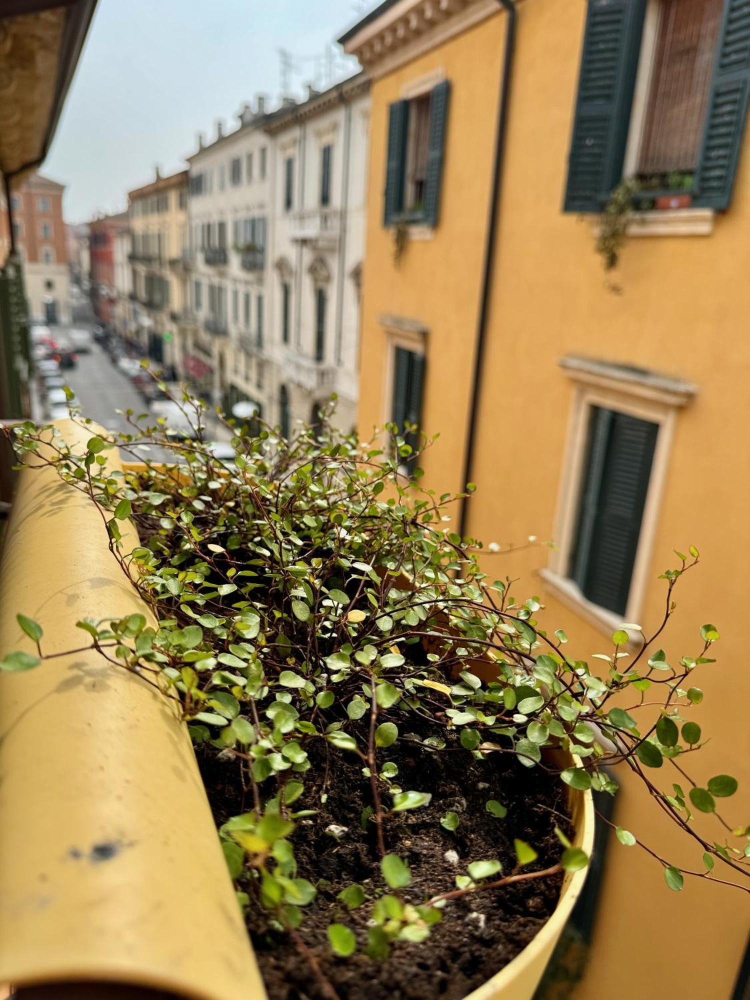 Domus Suites Verona Luaran gambar